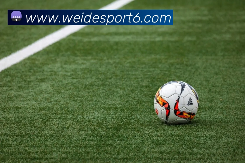 伟德体育品牌故事