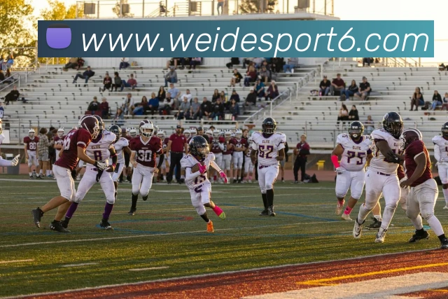 伟德体育服务体系