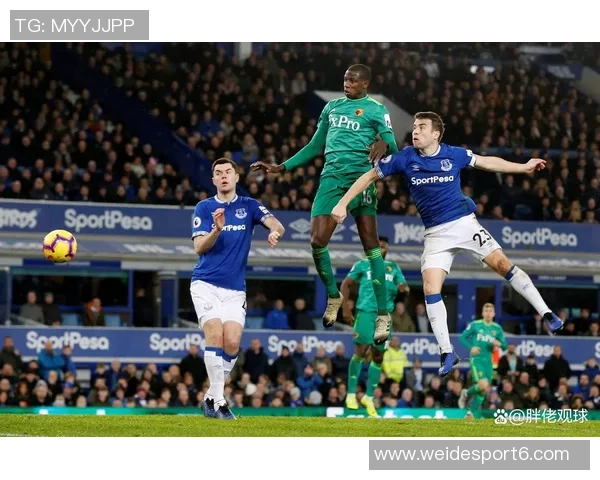 希勒评选本赛季英超最佳阵容阿森纳曼城切尔西桑德兰各有代表